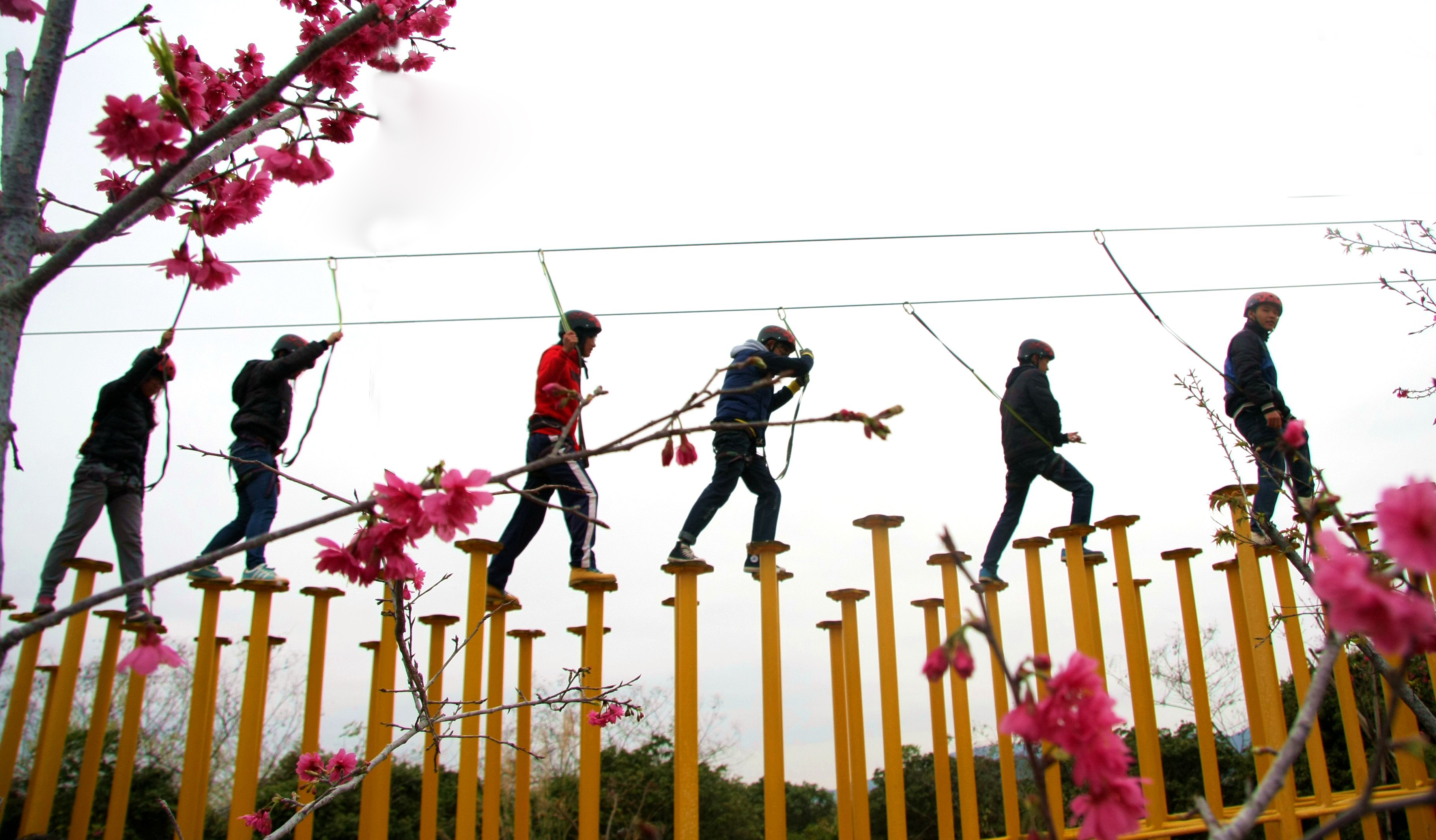 中国每年失踪人口_中国每年的旅游收入(2)